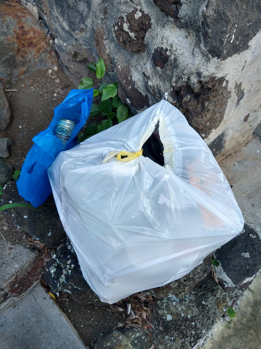 sk1tter's tweet photo. #cleanitupchallenge Day 1 - less than 2 blocks from my house my 13 gal bag was full and I had to return home...31 minute round trip. 😥 https://t.co/T2OSDiZktR