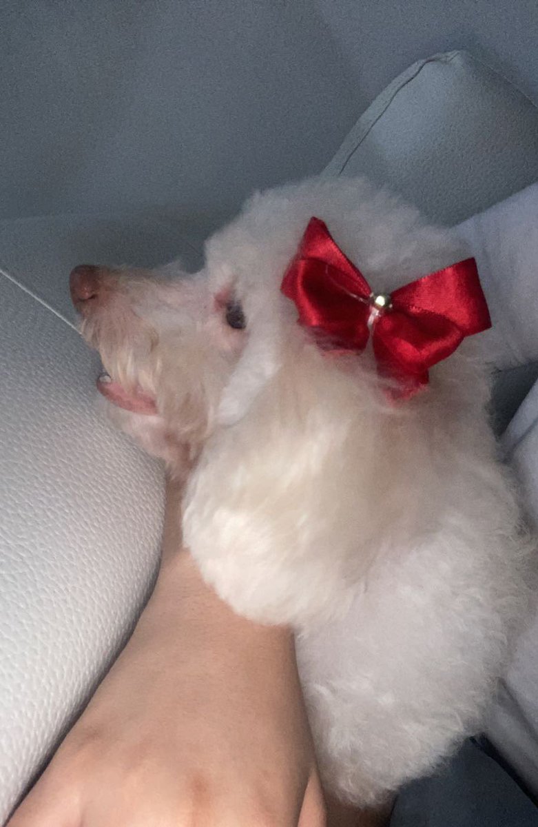 marriagabl's tweet photo. Te extraño muchísimo mi princesita😭🥰 https://t.co/zMXpF5FpaT