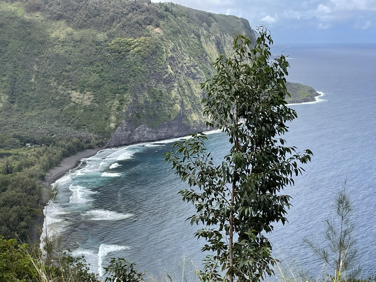 Wonderful day in Kona Hawaii @cher @primo2009 #chercrew