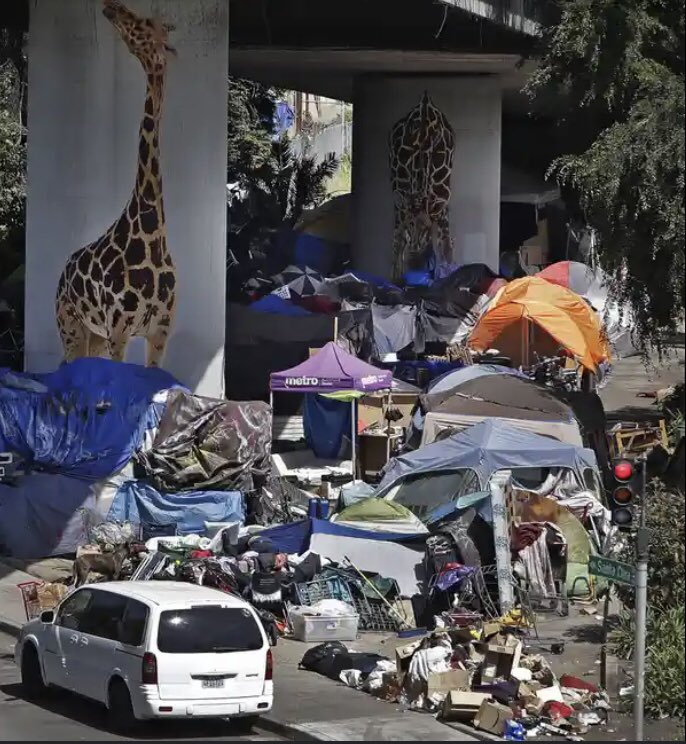 JjMarEst's tweet photo. @NormaJTorres @nayibbukele En fin la hipocresía señora @NormaJTorres porque acá no resuelve este problema, es California o necesita lentes también para ver esto, señora hipócrita https://t.co/lVi5aEre4n
