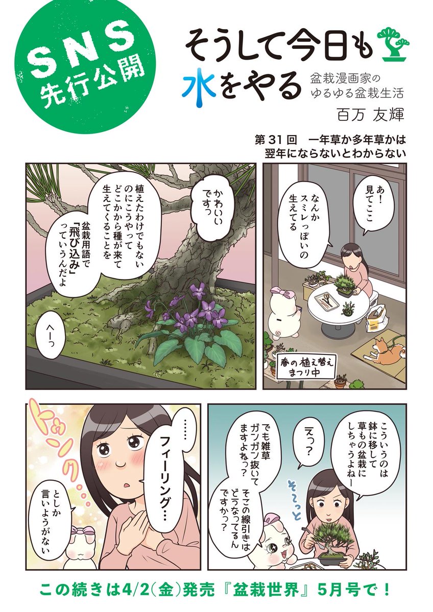 樹と共に暮らす生活を提案する盆栽専門誌『盆栽世界』、最新号の5月号は本日4/2(金)発売!
今回の #水やる は草もの盆栽のお話。
本誌特集は「よくわかる肥料の基本」。肥料は完全に雰囲気でやってるから勉強します! 