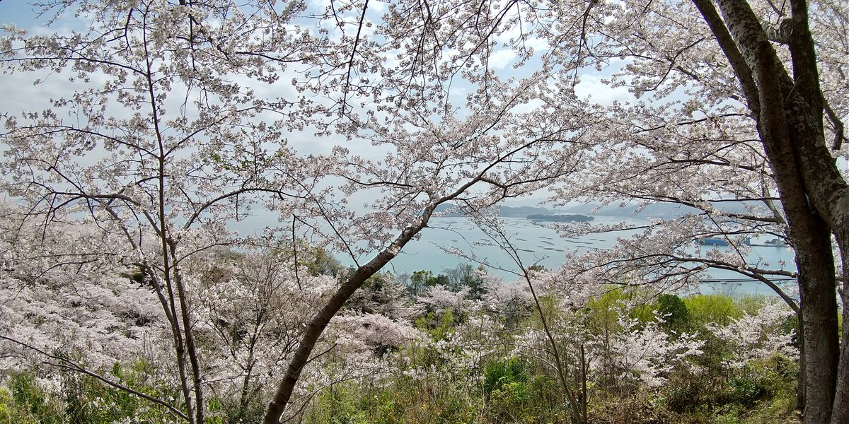 正福寺山公園 正福寺山公園