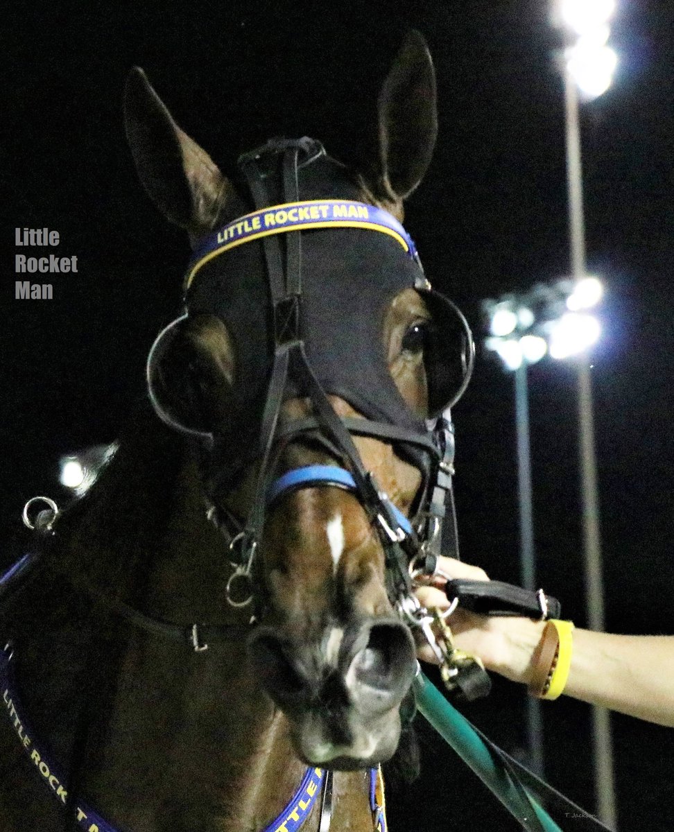 hoosiernations's tweet photo. Hoosier Park story line
#LittleRocketMan steps up to Open 1/2 company tonight in race 7 pp5
He'll face Family Recipe pp6 &amp; Fan Of Terror pp2
Don't forget FREE pp's at https://t.co/2IrEnKCn4E under Racing
#PartyInTheCornfield https://t.co/tB9KI268Nq