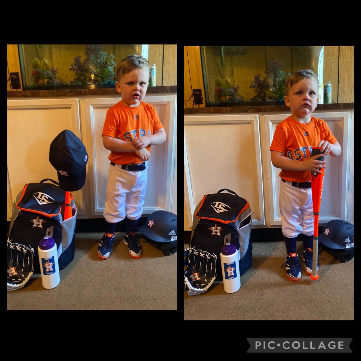 Teressa McNally tweet media