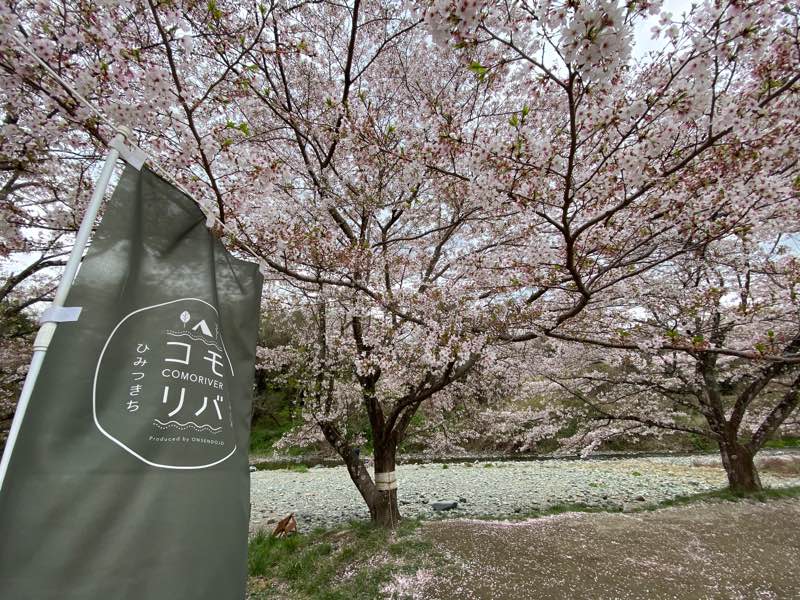 grtx13's tweet photo. 本日は有給とってコモリバ（ときがわ町）！
まだ桜が残ってるんで夜桜キャンプ！ https://t.co/slJ30AK5ff