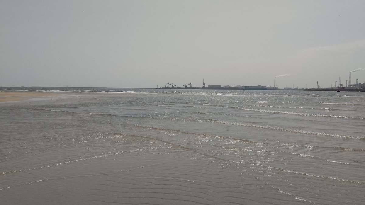 高松海岸 Twitter Search 高松海岸 Twitter Search