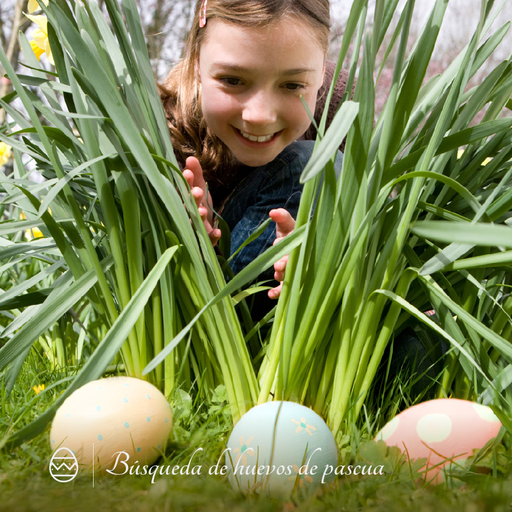 caballocampana's tweet photo. Actividades para Semana Santa, a tus niños les encantará. 
Búsqueda de huevos de pascua
Mini chefs, cocina para niños
Visítanos en @caballocampana https://t.co/O4xg9unUZg