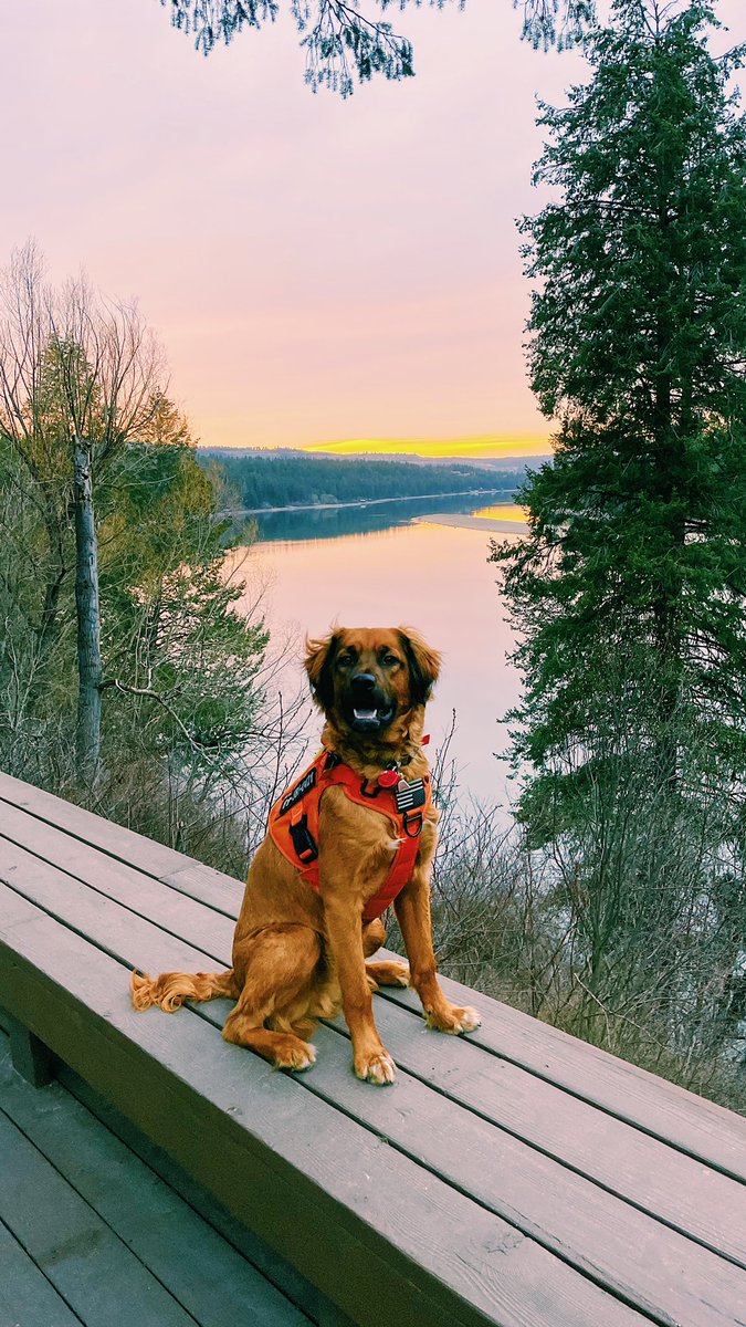 OutlierImagery's tweet photo. @dreybradford Come to Spokane! It's great up here. https://t.co/d9ehFcVY3N