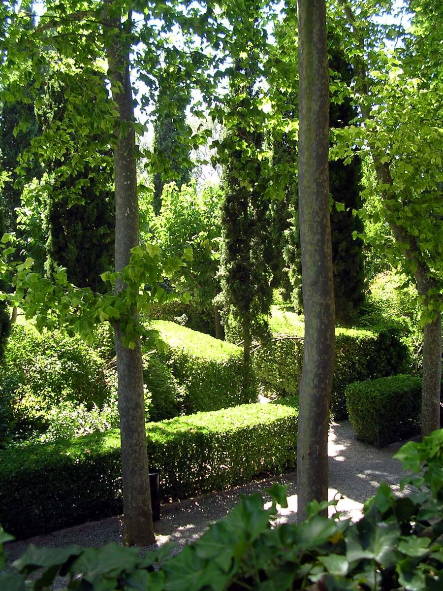 MuseuDali's tweet photo. Imatges del jardí del Castell Gala Dalí de Púbol. Dalí a la seva obra fa referència al jardí, fins i tot al·ludeix a la idea estesa que l'Empordà és un gran jardí. Fa esment també en la seva creació a l'aigua, al brollador, a la poesia, als ideals de pau i natura.
#Pubol https://t.co/EJhHO4HcBY