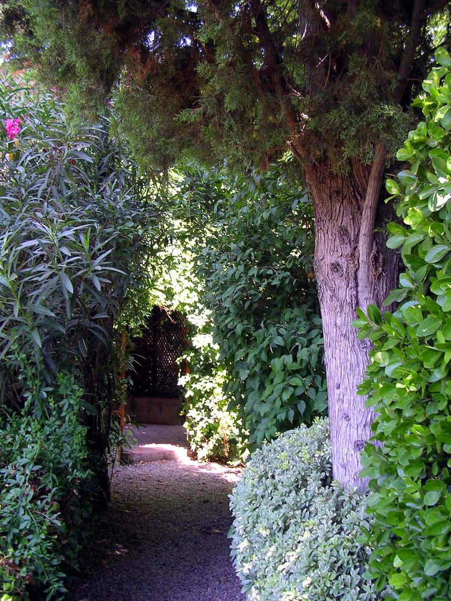 MuseuDali's tweet photo. Imatges del jardí del Castell Gala Dalí de Púbol. Dalí a la seva obra fa referència al jardí, fins i tot al·ludeix a la idea estesa que l'Empordà és un gran jardí. Fa esment també en la seva creació a l'aigua, al brollador, a la poesia, als ideals de pau i natura.
#Pubol https://t.co/EJhHO4HcBY
