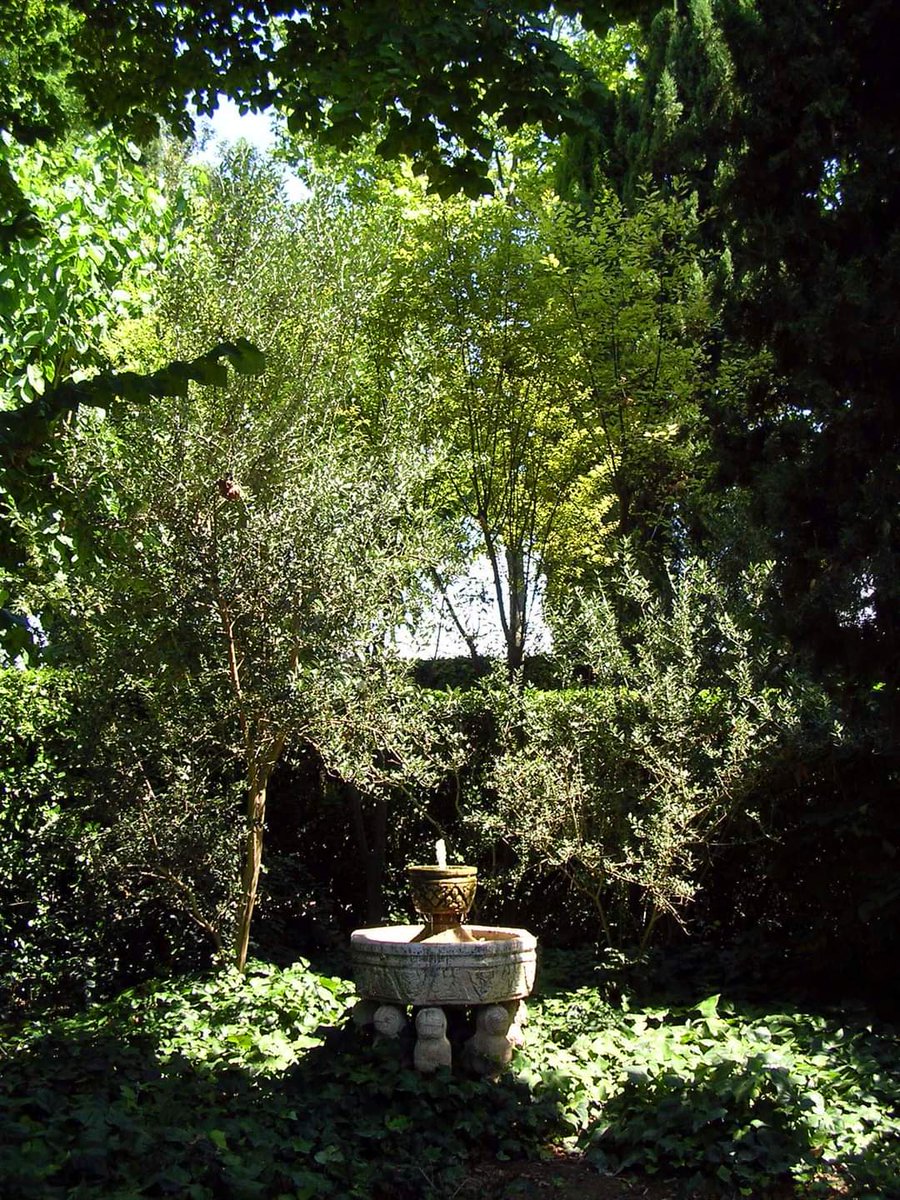 MuseuDali's tweet photo. Imatges del jardí del Castell Gala Dalí de Púbol. Dalí a la seva obra fa referència al jardí, fins i tot al·ludeix a la idea estesa que l'Empordà és un gran jardí. Fa esment també en la seva creació a l'aigua, al brollador, a la poesia, als ideals de pau i natura.
#Pubol https://t.co/EJhHO4HcBY