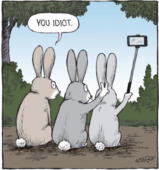 ReachScaff's tweet photo. Wishing you a happy, safe Easter break. . . . 
Thank you to our loyal customers for your continued business 🐣🍫 https://t.co/MoFNMfBG2F