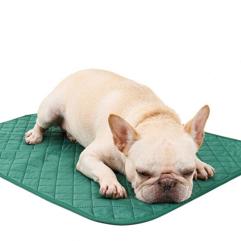HNfreeexport's tweet photo. FreeExport #underpad #dogurinepad #absorbableunderpad #washableunderpad #reusableunderpads #urinepad #peepad #puppypads #puppytrainingpads
Customize various pet MATS.
And we can send you samples.
If you are interested, please contact me. https://t.co/PfssEU7SMX