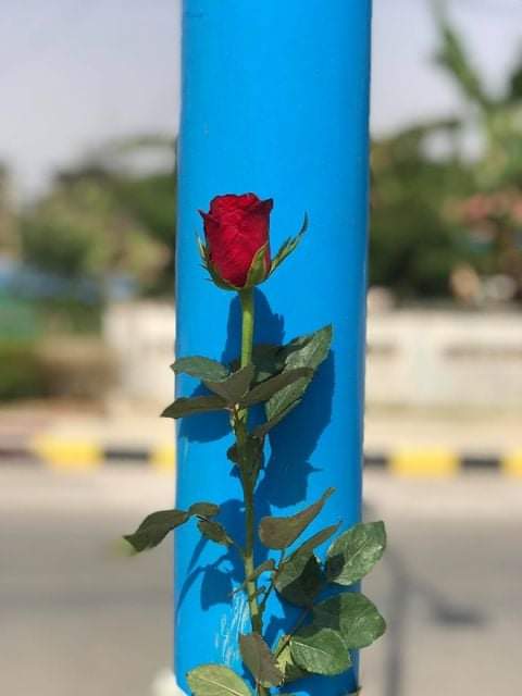 sfys_nn's tweet photo. "Flower strike" is held in #Taunggyi on Apr 2 in memory of those fallen heroes in this "Spring Revolution"

#WhatsHappeningInMyanmar 
#Apr2Coup https://t.co/T8eQ5Ks5y0