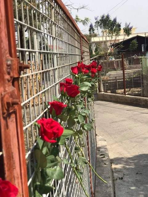 sfys_nn's tweet photo. "Flower strike" is held in #Taunggyi on Apr 2 in memory of those fallen heroes in this "Spring Revolution"

#WhatsHappeningInMyanmar 
#Apr2Coup https://t.co/T8eQ5Ks5y0
