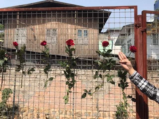 sfys_nn's tweet photo. "Flower strike" is held in #Taunggyi on Apr 2 in memory of those fallen heroes in this "Spring Revolution"

#WhatsHappeningInMyanmar 
#Apr2Coup https://t.co/T8eQ5Ks5y0