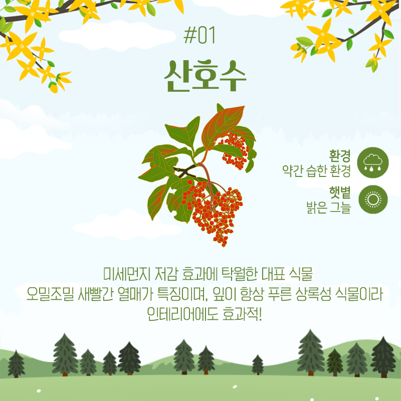 forest_news's tweet photo. <집에서 키우기 좋은 나무 5>

​4월 5일은? 식.목.일! 나무 심는 날🌳🌲
우리 집에서 나무를 심고 키워보고 싶다면?

집에서 키우기 좋은 나무 Best5를 참고하세요!
여러분은 어떤 나무를 키워보고 싶으신가요?😉 https://t.co/z0GiGgZHFb