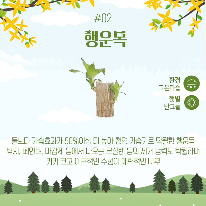 forest_news's tweet photo. <집에서 키우기 좋은 나무 5>

​4월 5일은? 식.목.일! 나무 심는 날🌳🌲
우리 집에서 나무를 심고 키워보고 싶다면?

집에서 키우기 좋은 나무 Best5를 참고하세요!
여러분은 어떤 나무를 키워보고 싶으신가요?😉 https://t.co/z0GiGgZHFb
