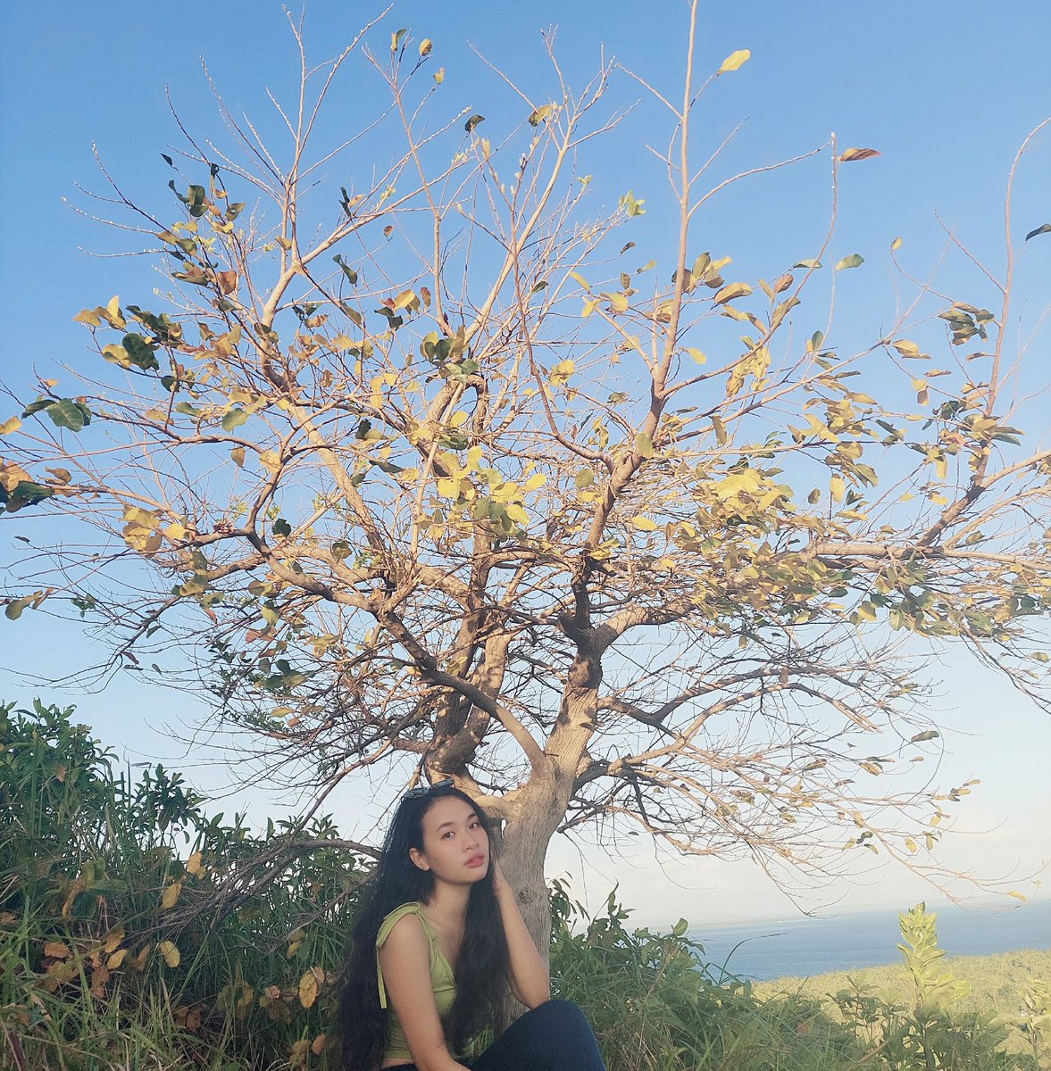 DanliAngel's tweet photo. I'm like a tree. My leaves might change color, but my roots are the same. 🍃🍂
-Rose Namajunas https://t.co/1jTRMRzjbV