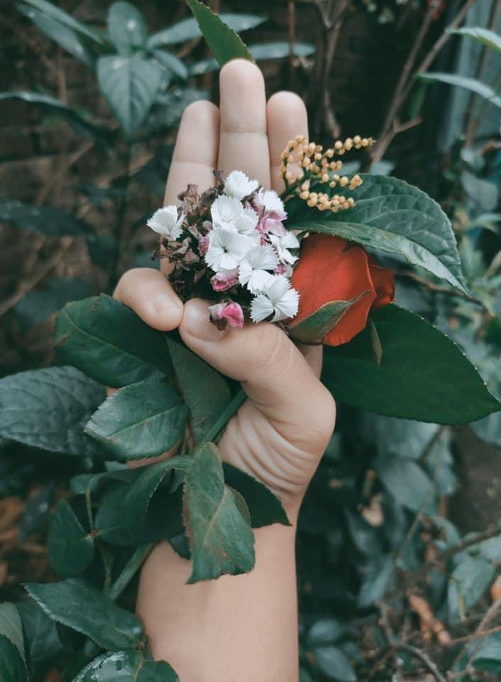 #flowerinhand #FlowerStrikeMyanmar