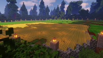 The same farm from a different angle, this one lower down and taken from the shade of the forest