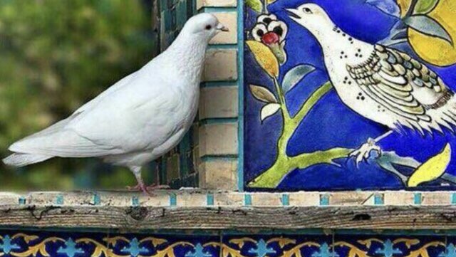 mibileo's tweet image. Good morning everyone! 
Happy Good Friday! 
☀️☕️🌹💜🕊