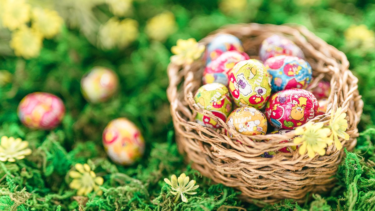 チョコレート大作戦 Mission109 イースターを楽しもう 今日は イースター イースターエッグの準備はできた これからミルコたちとエッグハント するから ツインクルをおうちの中に隠してくるベアー Byベター チョコレート大作戦 T Co