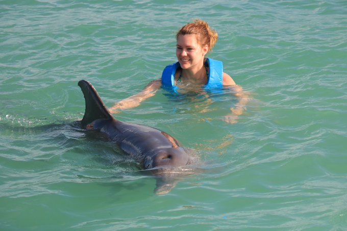 🥲The best birthday gift.... I&rsquo;ll always give me by myself❤️🍾🎂🎊🎊🎊🐬🐬🐬🐬🐬 #birthdaygirl #30y #bestpresent<a href="/tag/happygirl"class="tags"><span>#happygirl</span></a><a href="/tag/birthdaygirl"class="tags"><span>#birthdaygirl</span></a><a href="/tag/bestpresent"class="tags"><span>#bestpresent</span></a><a href="/tag/30y"class="tags"><span>#30y</span></a>