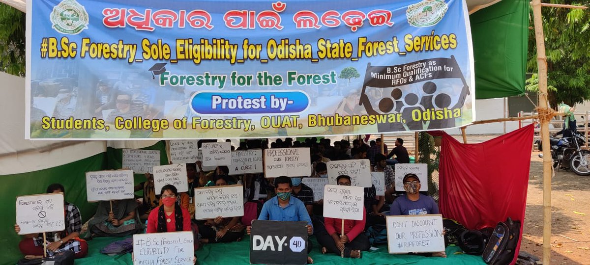 CollegeOuat's tweet photo. Day 40
#BSc_Forestry_Sole_Eligibility_for_Odisha_State_Forest_Services
@Naveen_Odisha @CMO_Odisha @BKArukha @dr_arunsahoo @MoSarkar5T @PrakashJavdekar @ForestDeptt @pccfodisha @ifs_odisha @otvnews @Kalingatv @News18Odia @NandighoshaTV @kanak_news https://t.co/2MmcqUUKJq