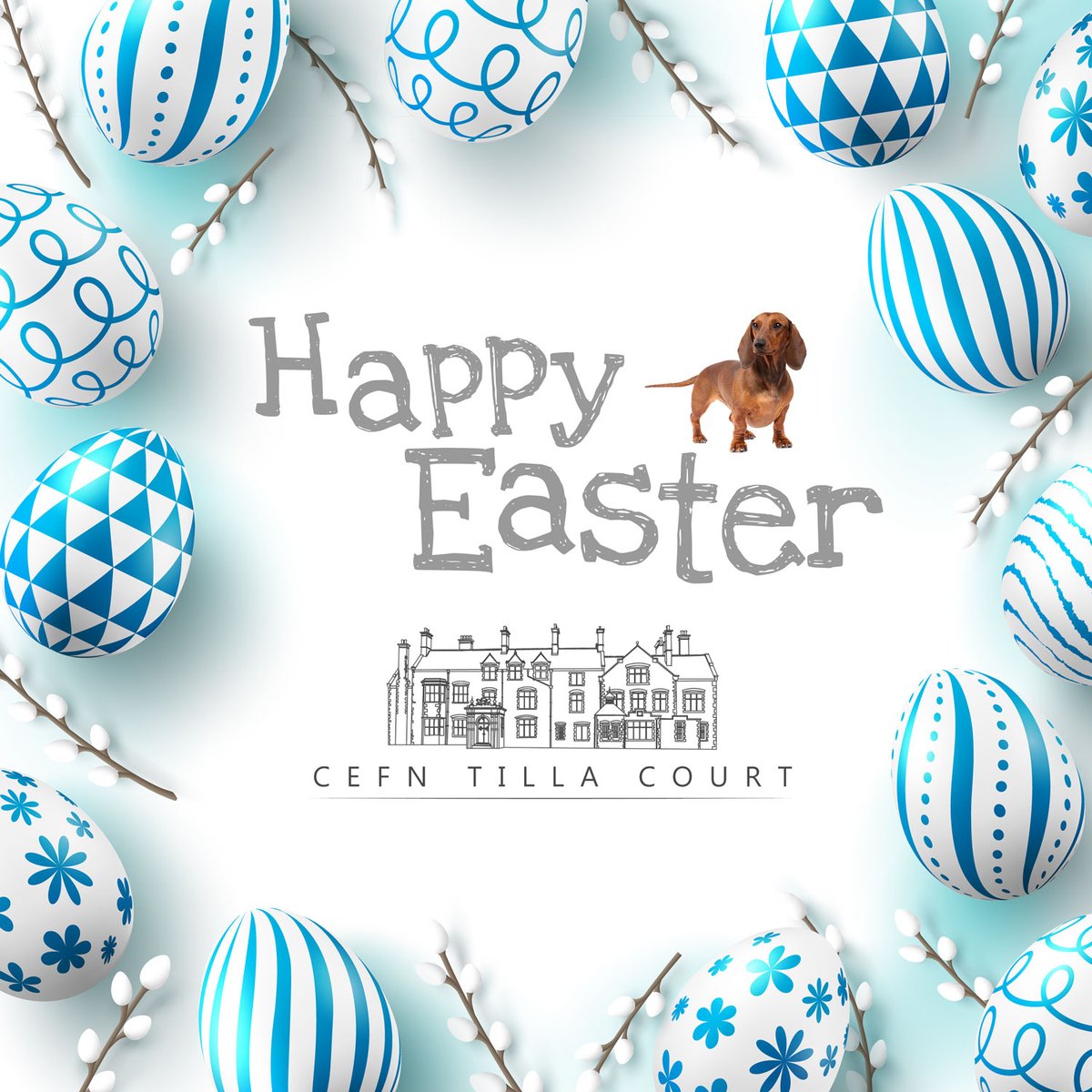 Happy Easter to you and your family From the Team at Cefn Tilla Court