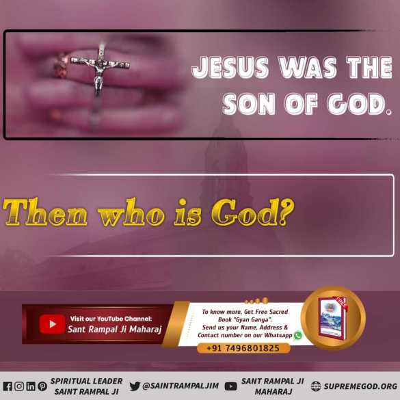 #SaturdayThoughts
#RealityOfJesusChrist
Meat eaters end up in hell. All living beings belong to God. Those who kill them for taste suffer badly in hell.🌺🌺🌺🌺