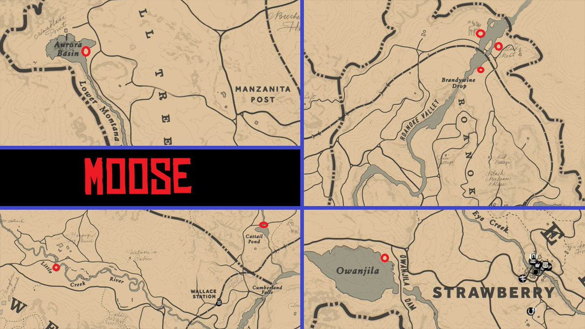 SithMasterWHO's tweet image. Crustacean Moose Wolf Madam Nazar Locations Daily Challenges

Solo Exploit "Drunken Player Interaction"
youtu.be/s2YvQBj9LGQ

#RedDead #RedDeadOnline #RedDeadRedemption #RedDeadRedemption2 #RDR2
#RDR2Online #DailyChallenges #RedDeadDailyChallenges #RDO #RedDead2