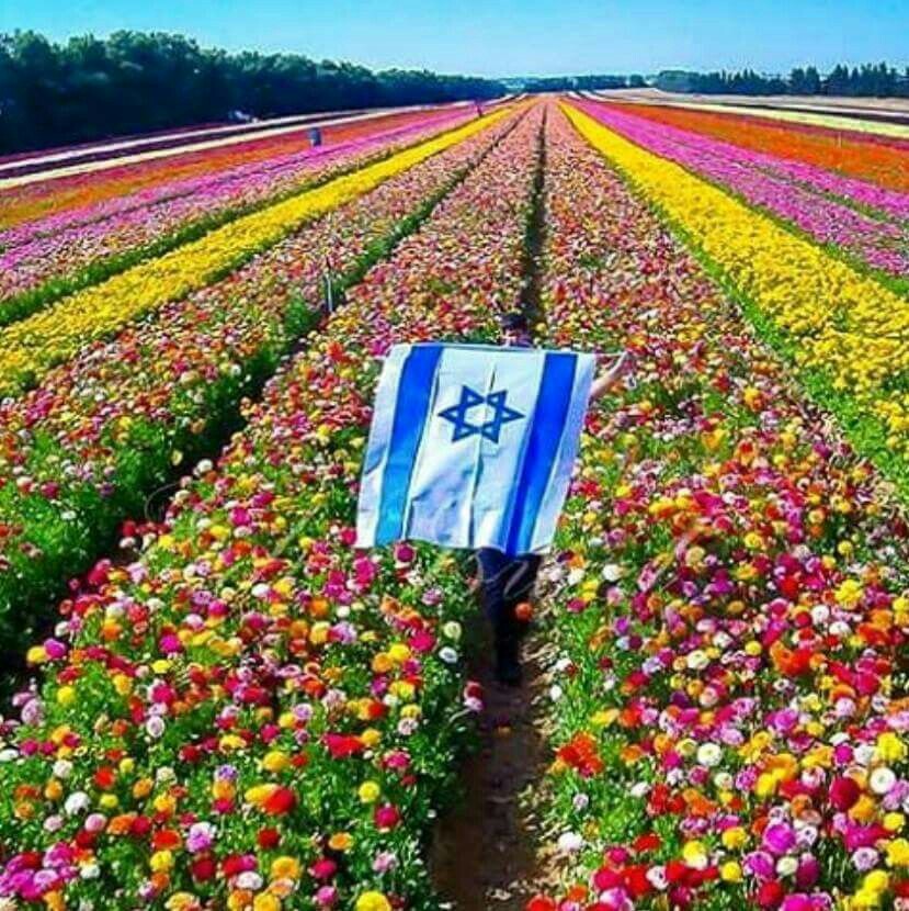 @Mieke35735862 @coinabs @zeque66 @james_anderssen @reilluminati @Gianlui91580067 @silvance5555 @Tivuch4u @AlanZionist @fulviogilardi @eli_isaak @Evangelic4Trump @GinnCatherine @elza_news @EvaKosovich @3Myriam1 @KeepSmile912 @Intersymbol @LSoubranne @EvaDuranRamos Always the nicest person