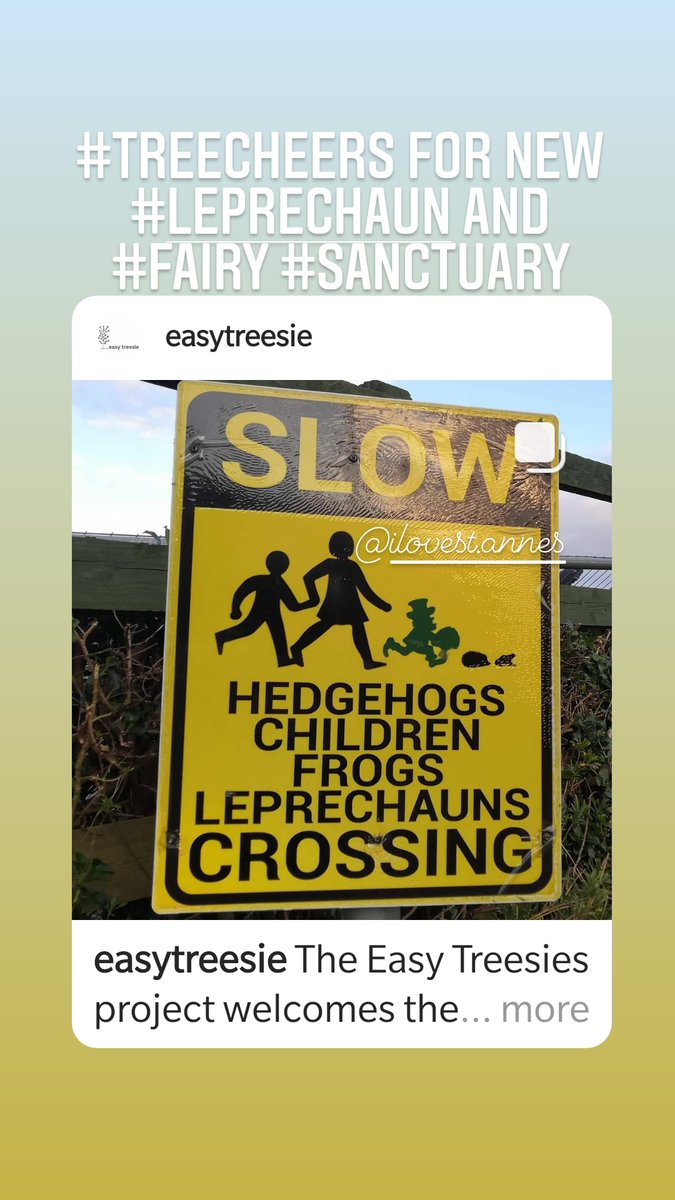 EasyTreesIE's tweet photo. We are listening to @museumofci youth voices, thanks @AmandaGorman ...and yours at our @TEDCountdown warmup to our upcoming TEDxCrannTreesforIreland conference at our @3CounciI #treeweek2021 webinar! What are you writing? https://t.co/jrbFjybAKz