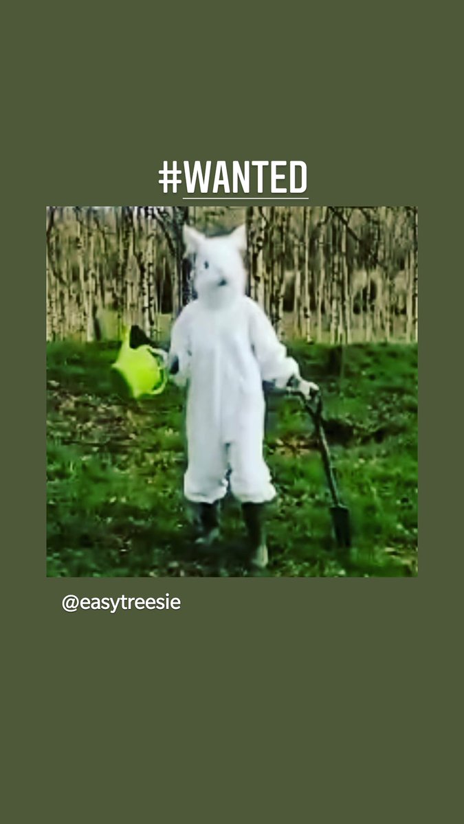 EasyTreesIE's tweet photo. We are listening to @museumofci youth voices, thanks @AmandaGorman ...and yours at our @TEDCountdown warmup to our upcoming TEDxCrannTreesforIreland conference at our @3CounciI #treeweek2021 webinar! What are you writing? https://t.co/jrbFjybAKz