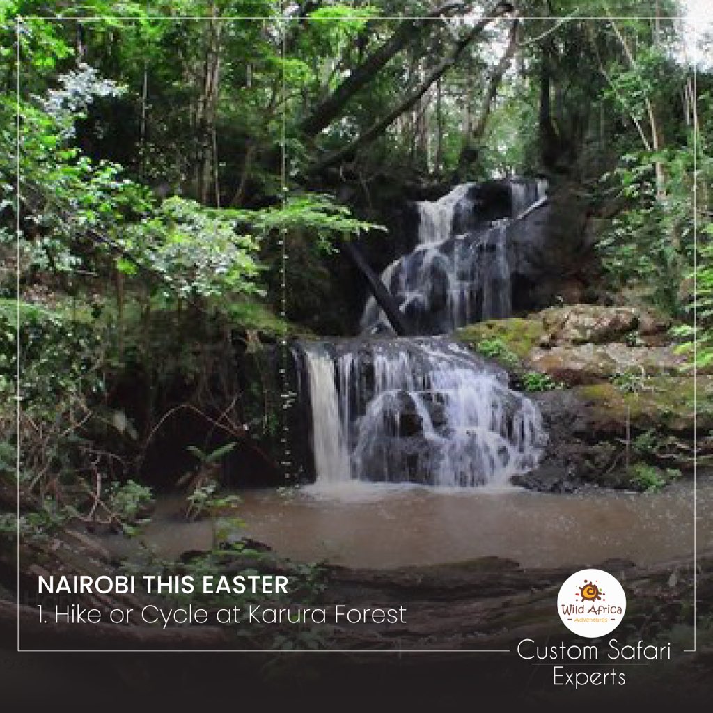 WAATours's tweet photo. Explore Nairobi this lockdown Easter! Check out Karura Forest 🌳 , this is a great place to hike or cycle, and the trail leads to a forest, waterfall, and caves. 

#easter #eastereggs #easterholidays #easterbunny https://t.co/oWEHOmMe1J