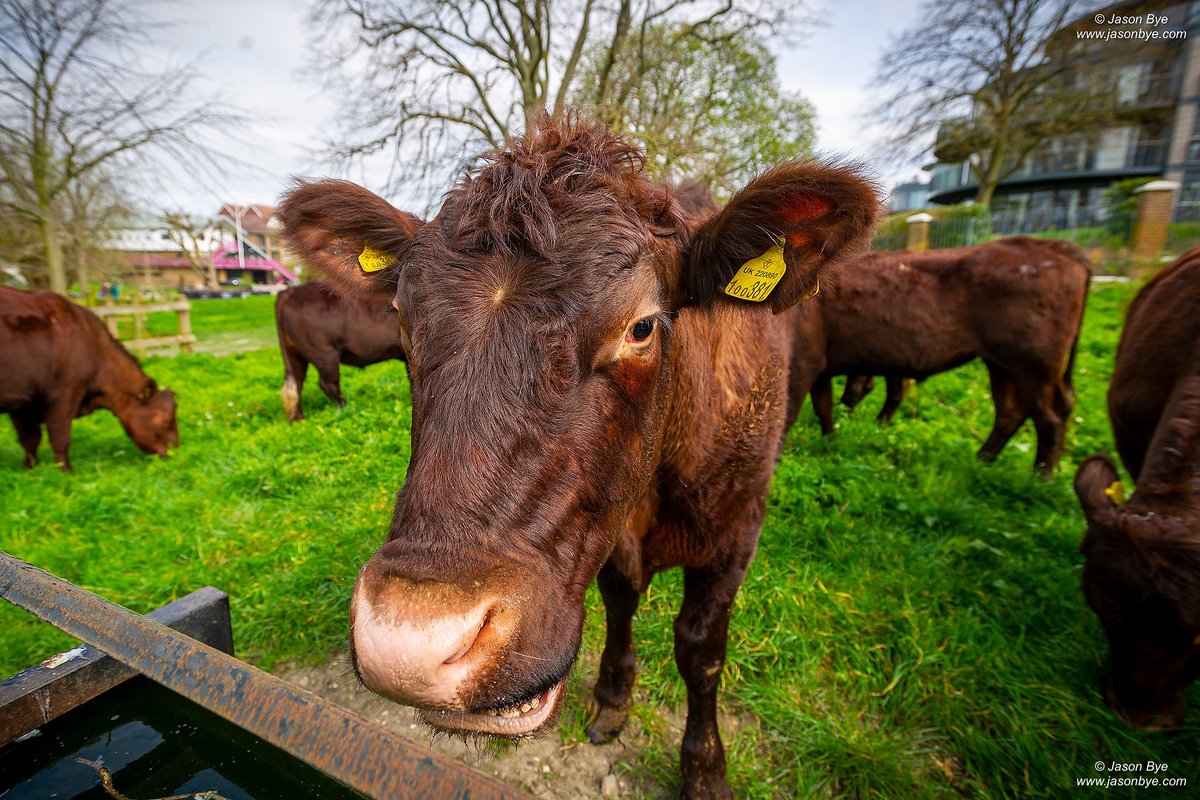 Jason Bye tweet media