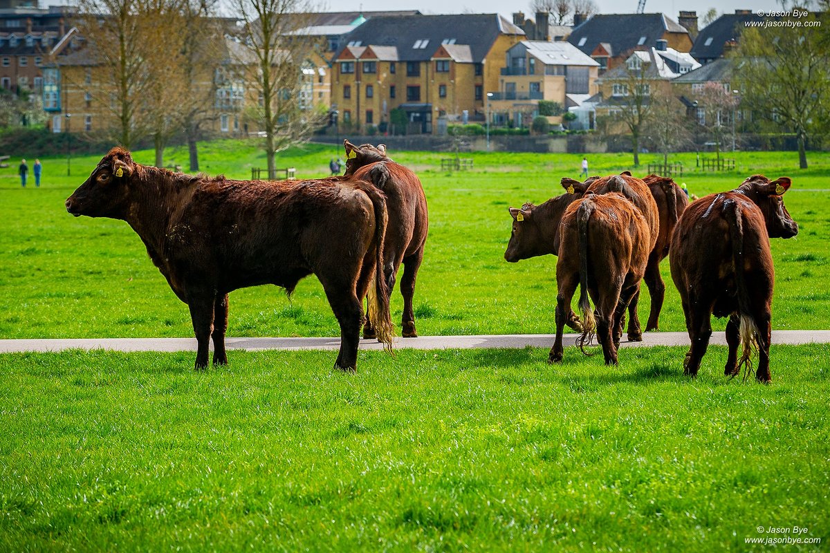 Jason Bye tweet media