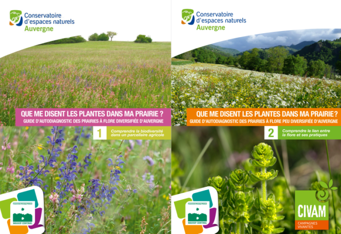 RESEAU_CEN's tweet photo. [EN KIOSQUE] Que me disent les plantes de ma prairie ? 2 guides techniques proposés par @CENAuvergne &amp; #CBNmassifcentral à découvrir https://t.co/l0zABROf0J Ces 2 guides de terrain peuvent être téléchargés ou consultés sur les sites internets du @CENAuvergne et #CBNMassifcentral https://t.co/bQf2GcUULd