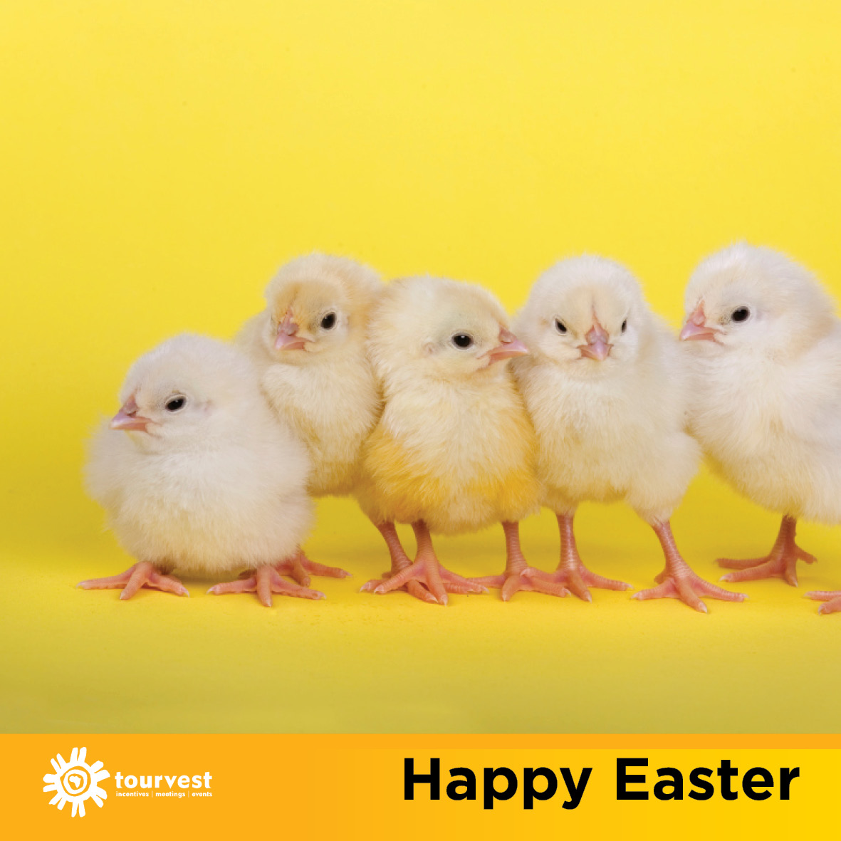 Happy Easter!

Have an ‘egg-stra’ special time with your loved ones.

#Easter2021