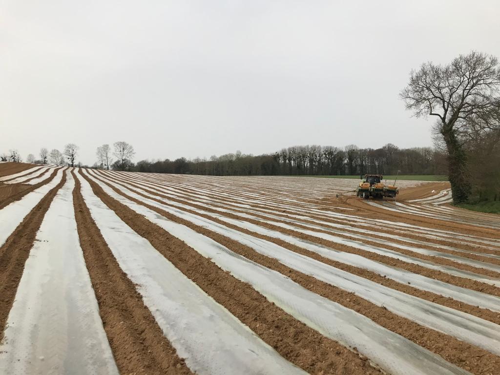 Nos Semis maïs SAMCO ont débuté cette semaine ! 🌱😃 #agriculture #semis