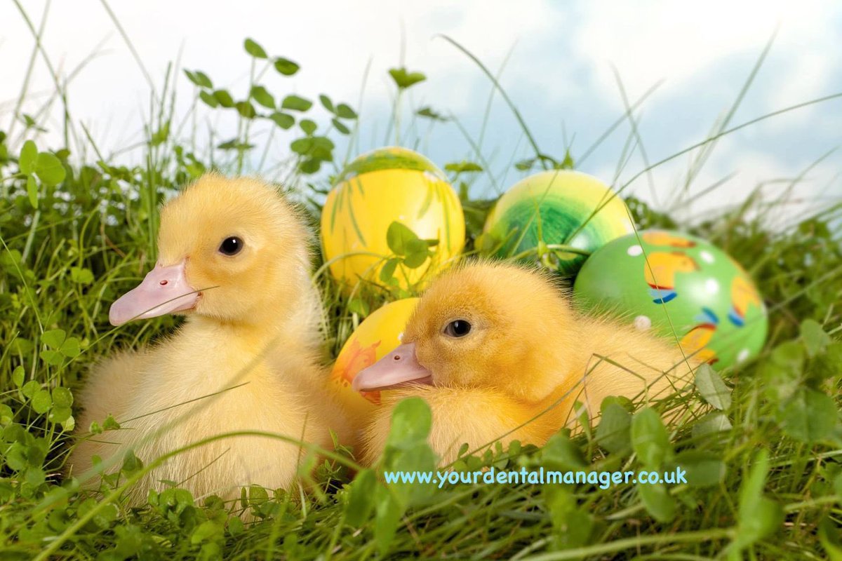 Happy #Easter to family friends &amp; followers. Enjoy the #holiday weekend &amp; the extra bit of freedom some of us have this year. #smallbusiness #smallbusinessowner