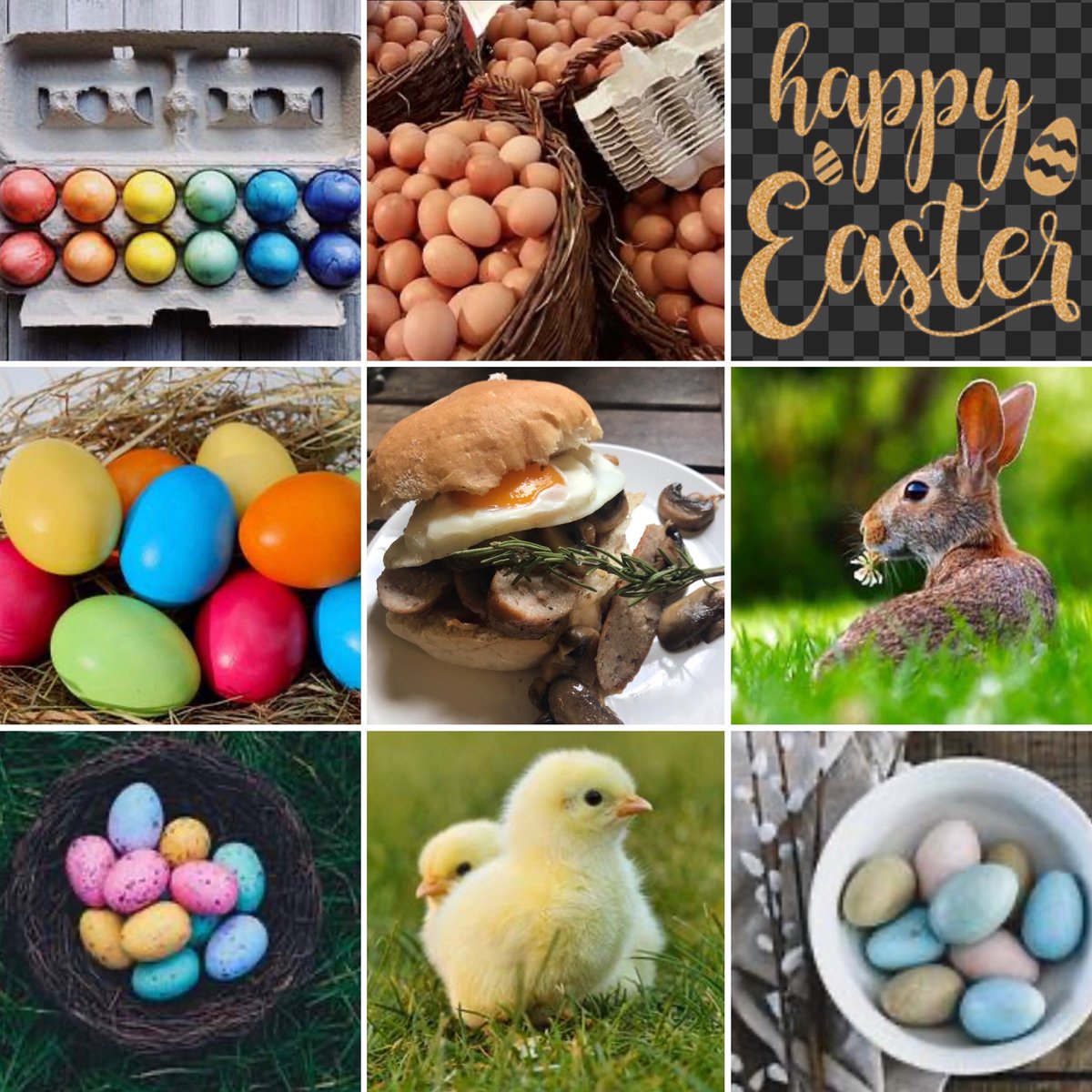 Good morning Good Friday! We are open today for your fresh local farm food - home reared meat, local veg and homemade pies and takeaway breakfasts and lunches #farm #food #supportlocal taltonmill.co.uk