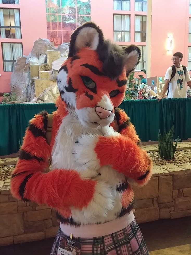 TaebynPup's tweet photo. This is @StripeyButt @ #RMFC2016 such a bootiful tiggy! https://t.co/eVtXhJttUm
