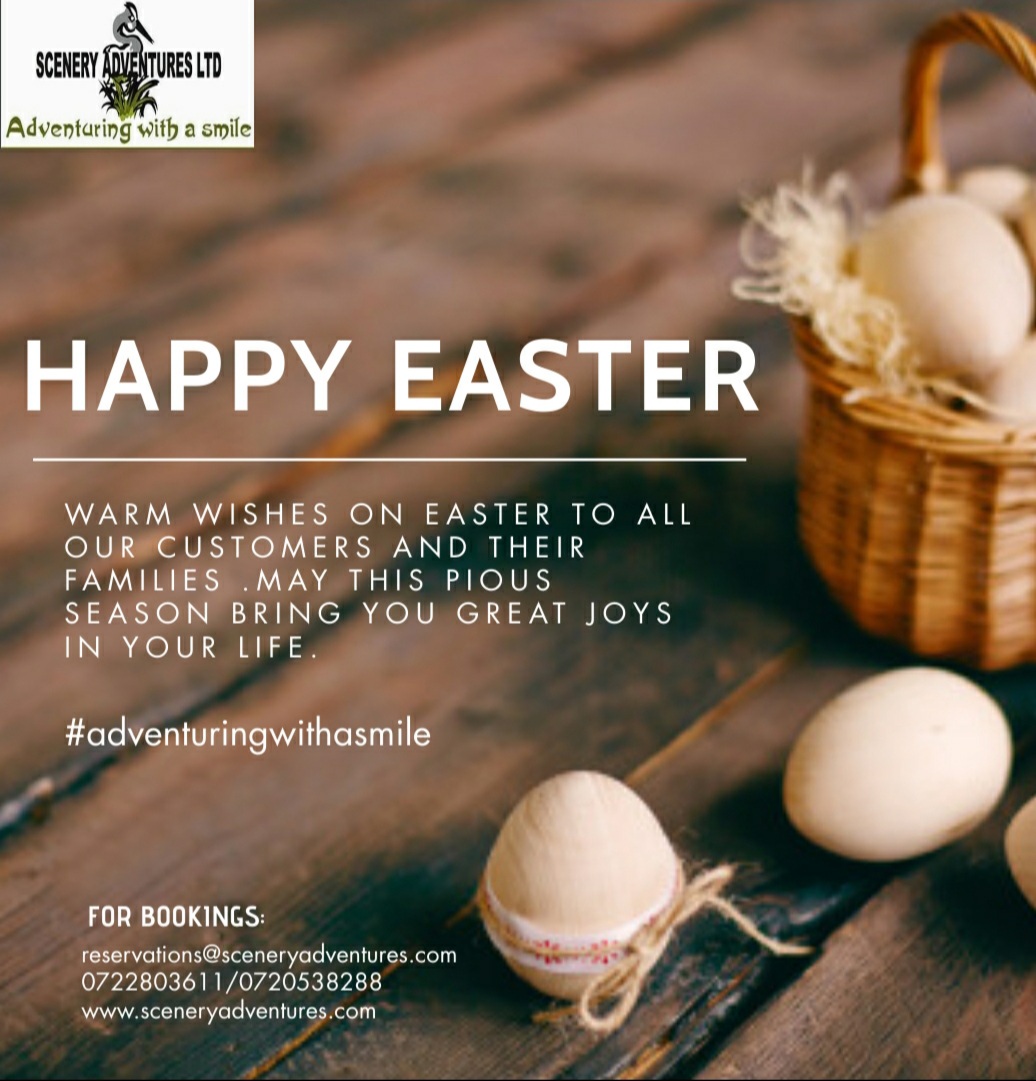 SceneryAdventu1's tweet photo. Happy Easter to all our customers. Thank you for always choosing Scenery Adventures!

For Easter packages:
Email:reservations@sceneryadventures.com
Call/text:0722803611/0720538288
#adventuringwithasmile https://t.co/DhSSDEFGRx
