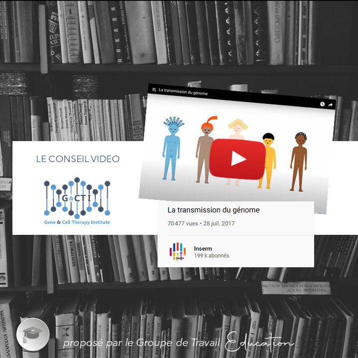 VENDREDI CONSEIL | 🎥 Notre groupe #Education vous propose aujourd'hui de visionner

➡️ La transmission du génome – par l’<a href="/Inserm/">Inserm</a>
youtu.be/eevP4Jmih7c

🔹 Lorsque l’on parle de maladies génétiques, il est question de transmission génomique ! Mais alors, comment ça marche ?
