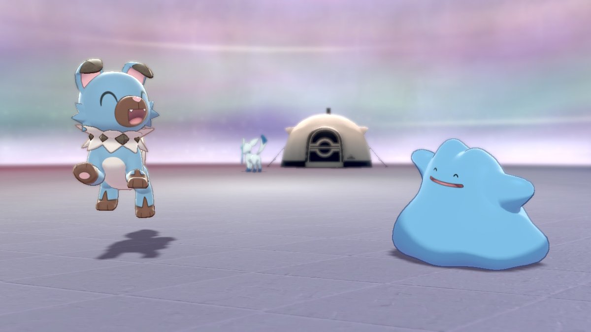 イワンコ のtwitter検索結果 Yahoo リアルタイム検索