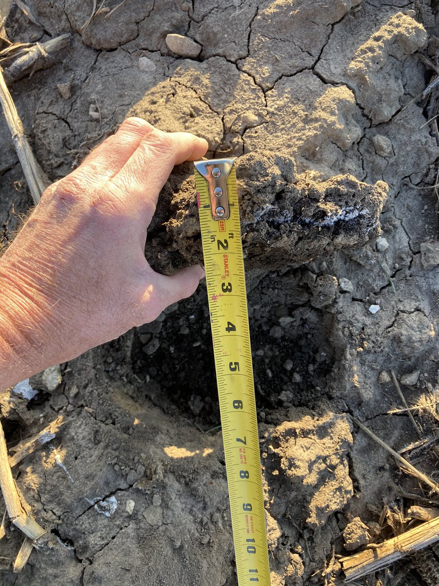 Mark Flook tweet media