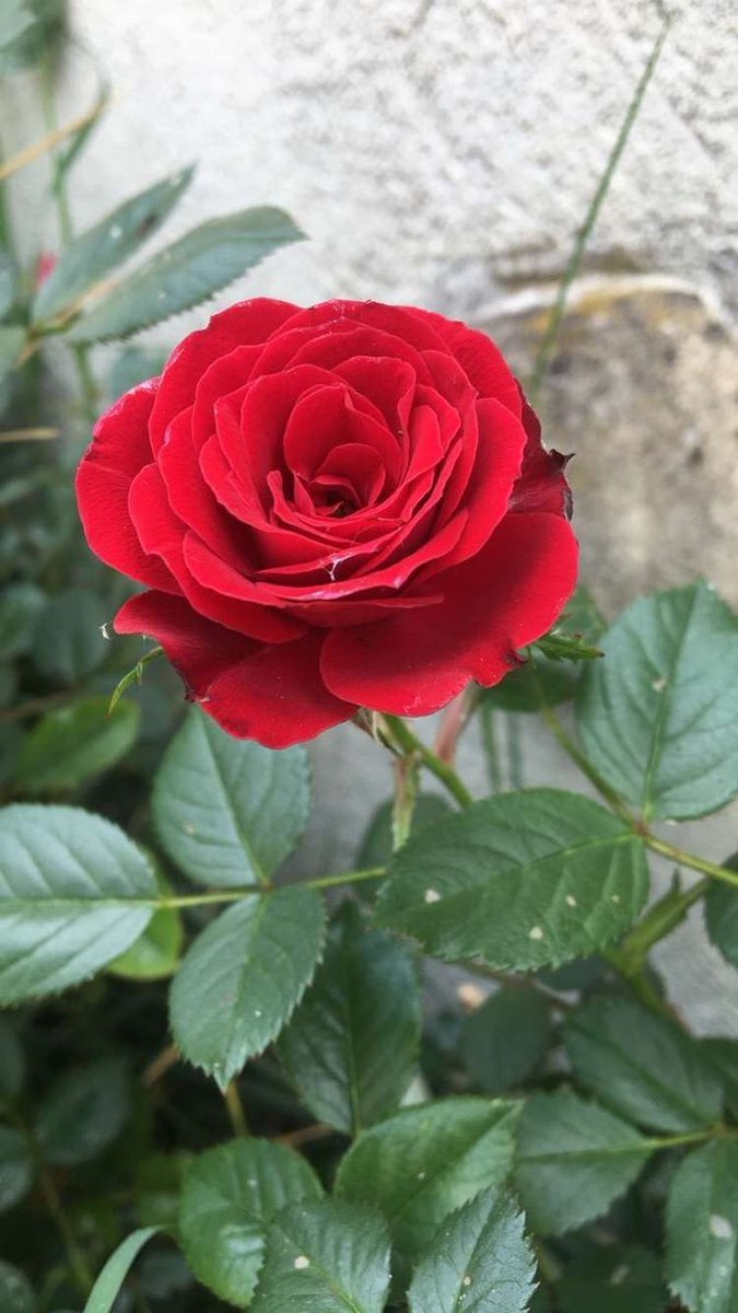 ���� ���� ������ �� ���� ������