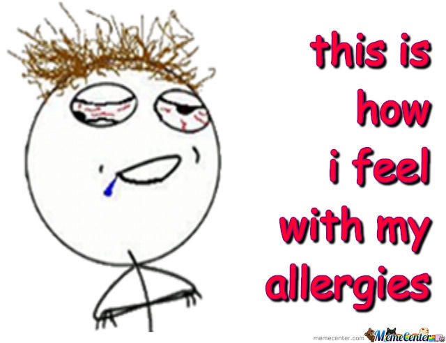 i feel it allergy meme